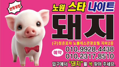 노원스타나이트에서 100까지 세고, 최악의 밤엔 마크 트웨인처럼 욕하라!