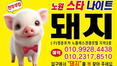 노원 스타 나이트 돼지가 약속하는 진심 가득한 밤
