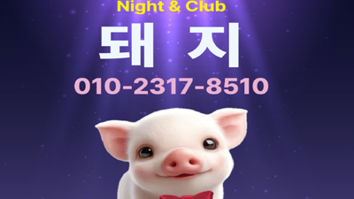 노원 스타나이트에서 배우는 삶의 교훈